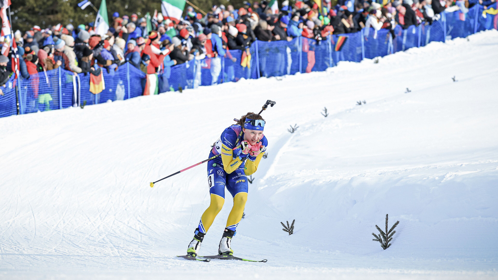 Persson210124cm57845_1