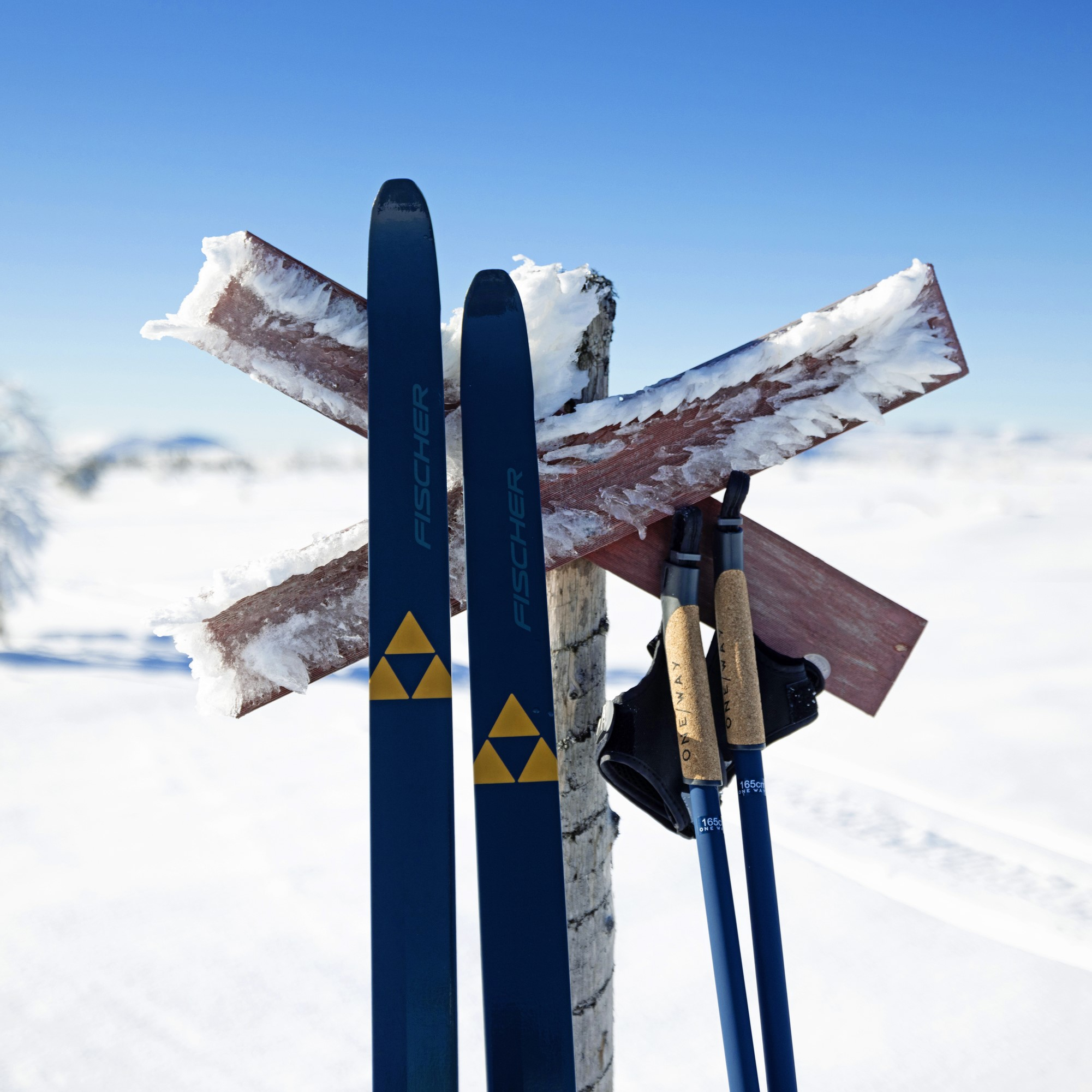 nordic_performance-active_skating_15_jpg-72dpi