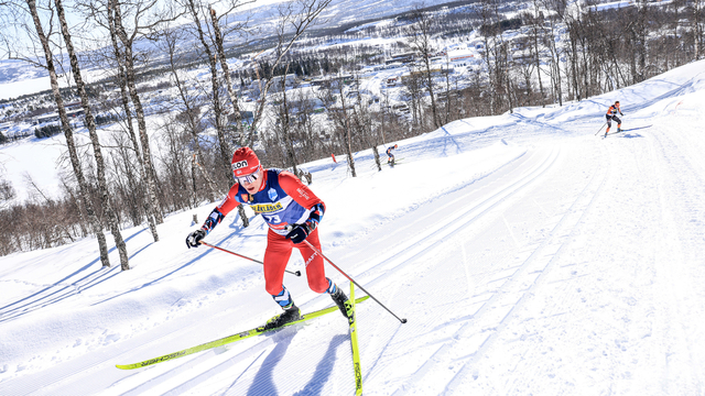 Pedersen020423cm36389