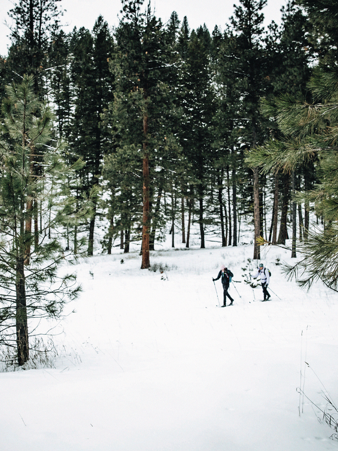 special_grid_action_adventure_686x914