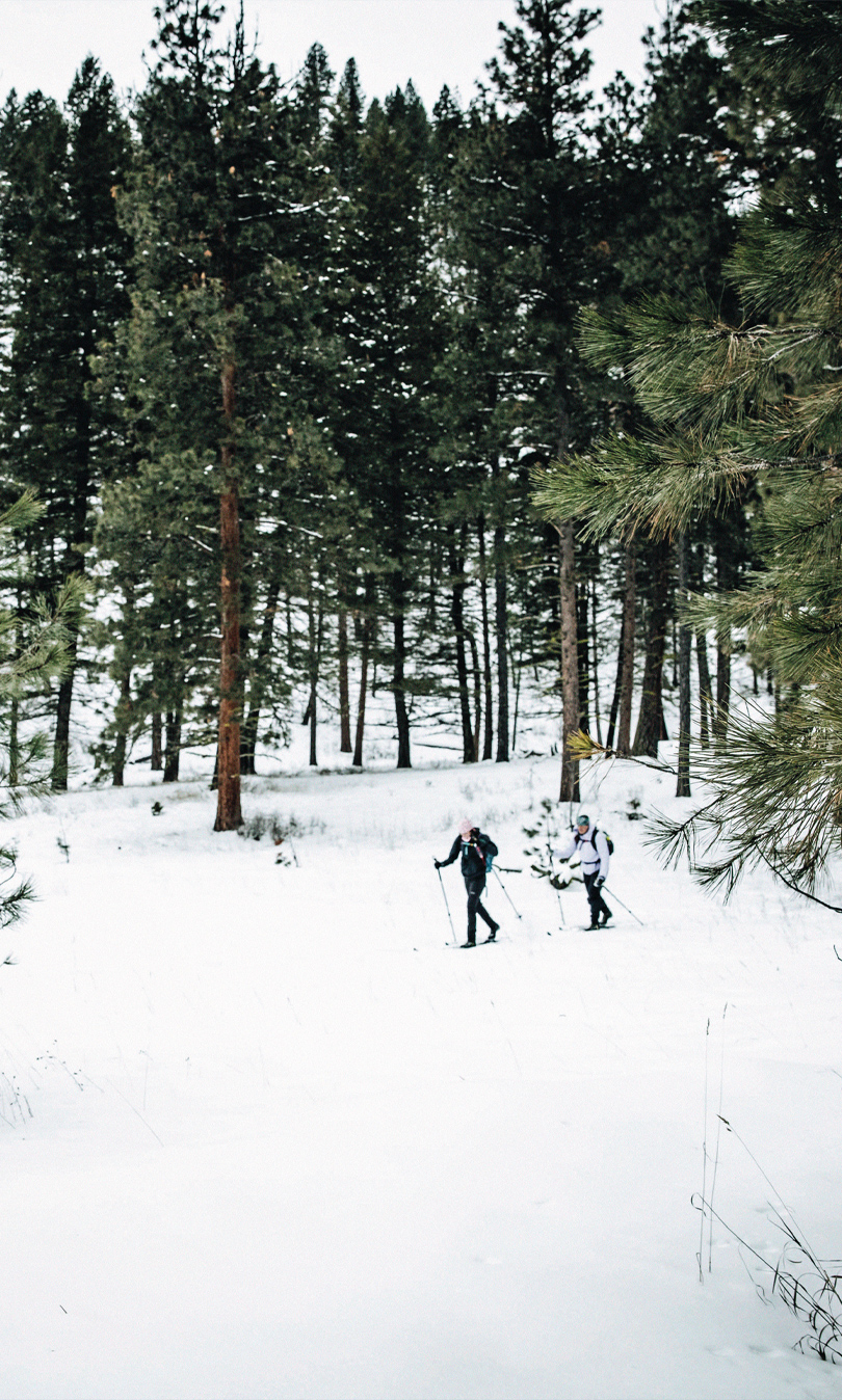 special_grid_action_adventure_810x1348