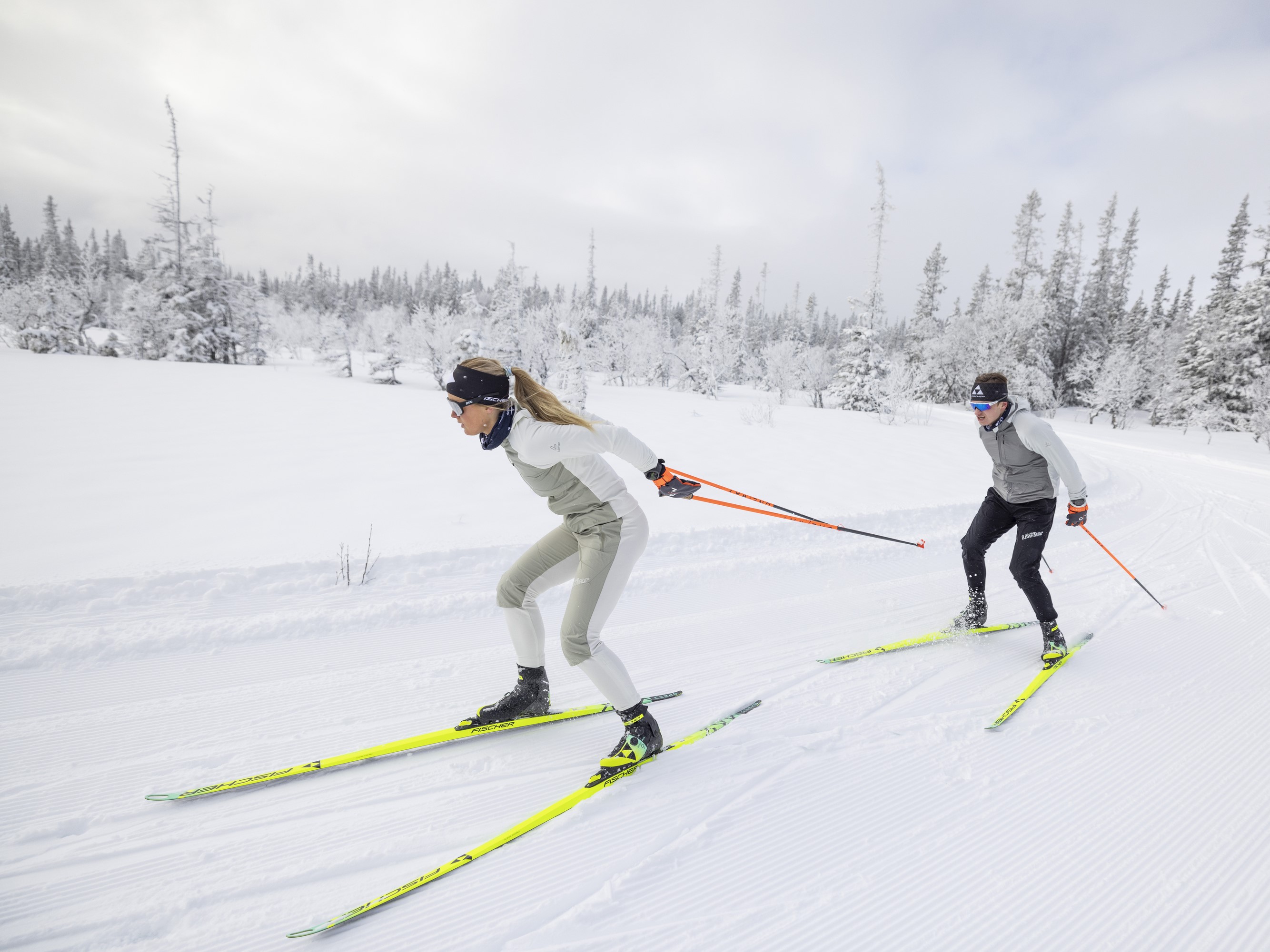 Cross-country | Fischer Sports